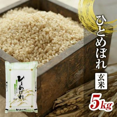 ふるさと納税 酒田市 ひとめぼれ 玄米 5kg