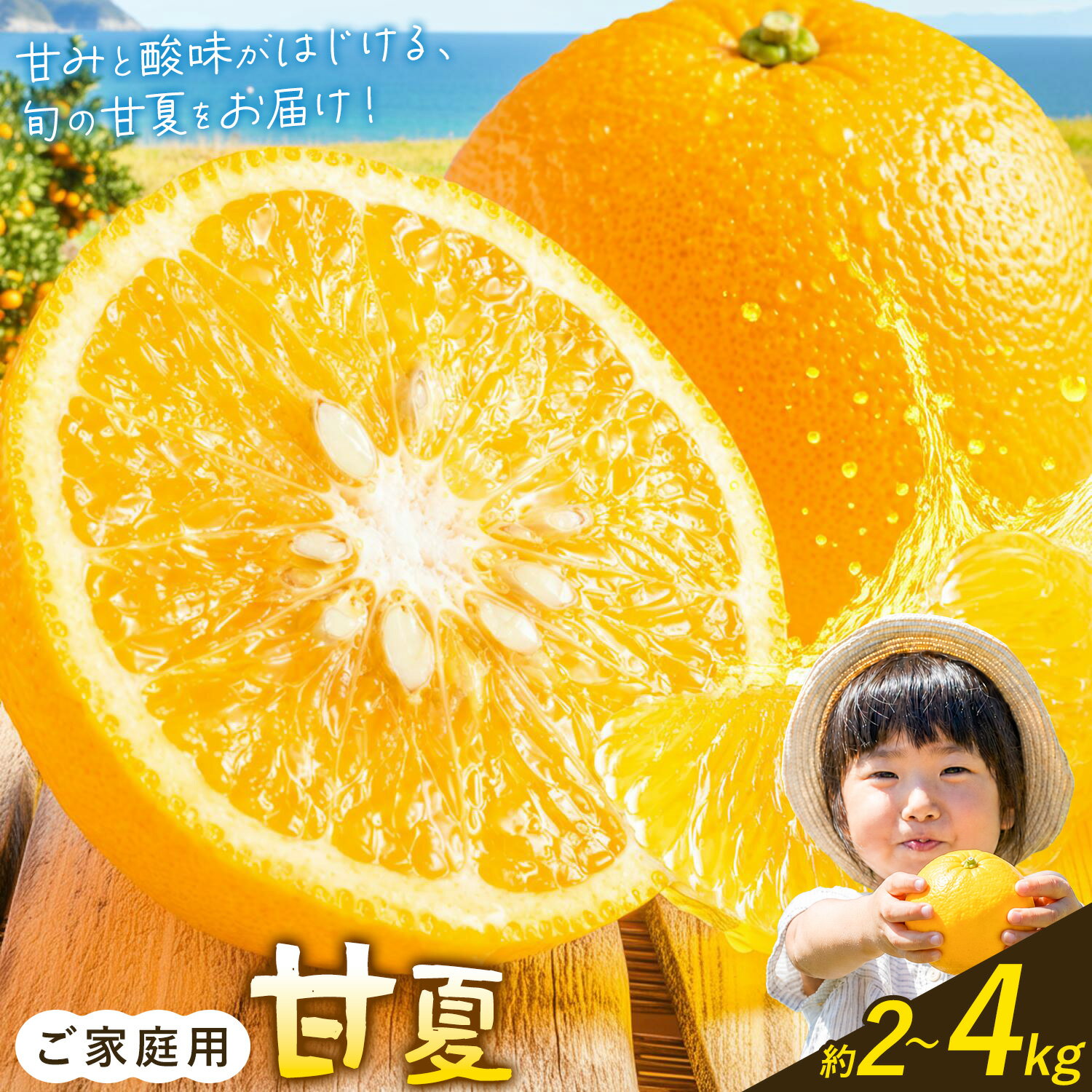【ふるさと納税】冬みかんの次はコレ！柑橘王国和歌山の「めっちゃ甘夏」爽快な甘酸っぱさがクセになる 甘夏 選べる内容量 約2kg 約4kg《2月中旬-3月末出荷》和歌山県 日高町 柑橘類 あまなつ 甘なつ みかん わけあり 果物 フルーツ お取り寄せフルーツ