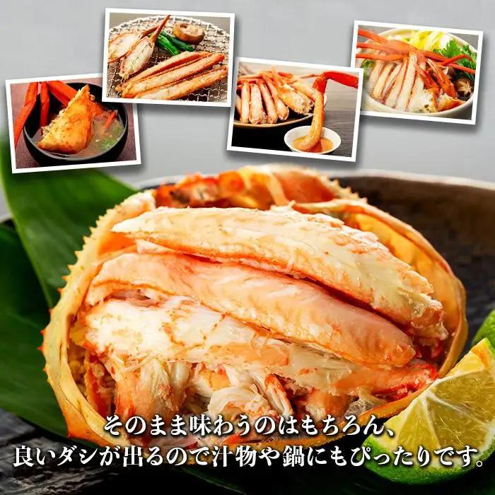カニ 2027年2月発送 訳あり ボイル紅ズワイガニ 2～3杯セット かに 蟹 冷蔵