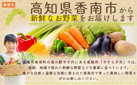 【2026年11月以降発送】にんじん ７ｋｇ 家庭用 yr-0139