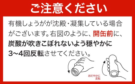 ジンジャーエール 30缶 光食品 