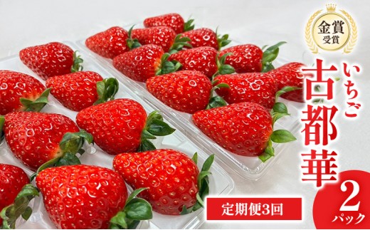 
                  【先行予約】いちご 定期便 3回　古都華　2パック 金賞受賞 フルーツ 果物 旬 産地直送 デザート ことか イチゴ 苺 冷蔵 奈良 大和郡山　北村農園 [№5990-1016]
                