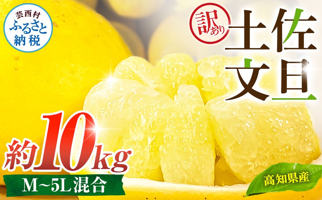 
                  先行予約 訳あり 土佐文旦 家庭用 約10kg 約16～30玉 M～5L混合サイズ 高知県産 文旦 ブンタン ぶんたん 柑橘 かんきつ 蜜柑 みかん 柑橘類 フルーツ 果物 くだもの デザート おやつ 爽やか 甘い ジュース スイーツ 美味しい おいしい
                