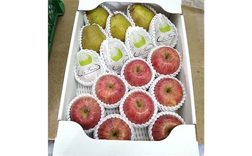 【令和8年産先行予約】 ラ・フランス & 完熟ふじりんご 詰合せ 約5kg (L～3L) 《令和8年11月中旬～発送》 【全国りんご選手権 銀賞】 『船中農園』 林檎 リンゴ 山形県 南陽市 [217