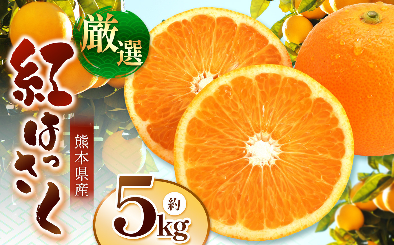 
            こだわり栽培 厳選 紅八朔 約 5kg iFARM 岩城農園 | フルーツ 果物 くだもの 柑橘類 柑橘 べにはっさく 八朔 5キロ 熊本県 玉名市
          