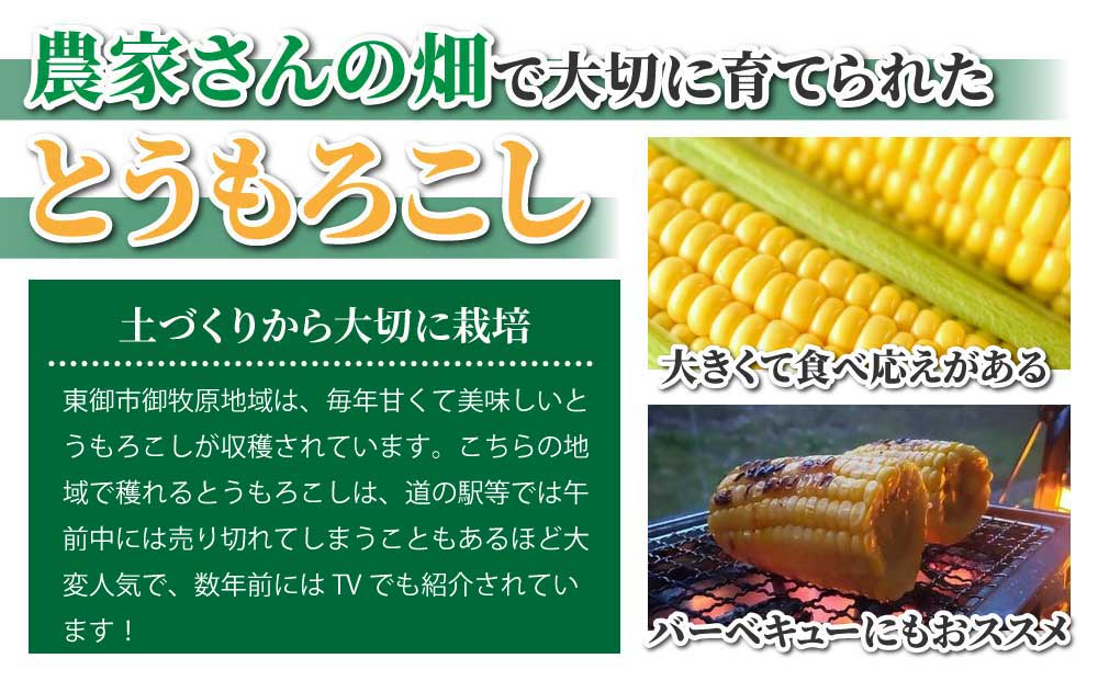生とうもろこし Lサイズ 10本 有機肥料使用のスイートコーン！ 長野県東御市産 ※7月上旬から順次発送予定※発送日指定不可