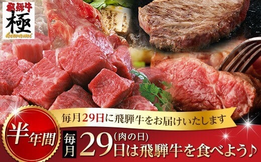 飛騨牛極 定期便 毎月29日（肉の日） 飛騨牛を食べよう！半年バージョン  牛肉 和牛 飛騨市推奨特産品 【ごちそう】 贅沢飛騨牛