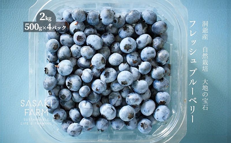 
            北海道 洞爺湖町産 フレッシュ ブルーベリー 500g 4パック 計2kg 7月25日から順次お届け お届け 北海道産 ブルーベリー 果物 果実 フルーツ 新鮮 国産 ベリー 農作物 お取り寄せ 冷凍 長期 保存 送料無料
          