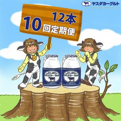 ふるさと納税 阿賀野市 【10ヶ月定期便】ヤスダヨーグルト 150g×12本