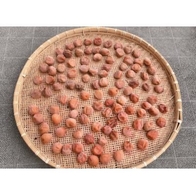 ふるさと納税 印南町 【梅干・梅酒用等】紀州和歌山の熟南高　生梅(大粒4L、10kg) 　6月上旬から順次発送予定 |  | 01