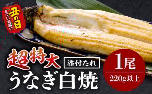 《丑の日までにお届け予定(7月20日～7月31日)》うなぎ白焼(超特大サイズ) 1尾_M069-025-U2