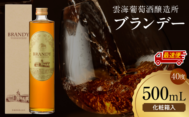 【最速便】雲海葡萄酒醸造所 ブランデー 500ml 国産 国産ブランデー 酒 洋酒 お酒 アルコール 果実酒 葡萄酒 熟成 蒸留 贈答用 贈り物 ギフト プレゼント 記念日 誕生日 イベント 手土産