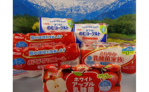 
                  北陸の清らかな伏流水とシンプルな原料だけでつくる乳酸菌飲料おためしセット
                