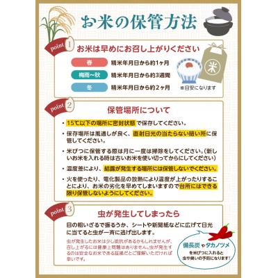 ふるさと納税 大江町 山形県大江町産 はえぬき5kg【2025年度産米】 004-019 |  | 02