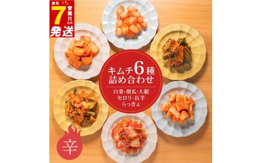 辛口 キムチ 6種 詰め合わせ 食べ比べ 小分け 白菜 長芋 胡瓜 大根 セロリ らっきょ アソート バラエティーセット ごはんのお供 ピリ辛 お米 ごはん ビール 酒 おつまみ 漬物 北海道 昆布 