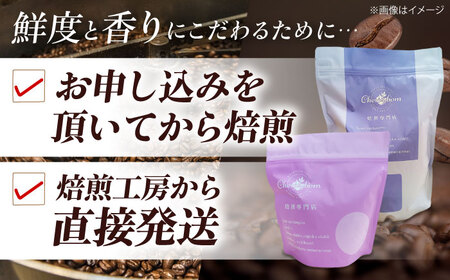 コーヒー豆 ブレンドコーヒー 2種セットC（チェリボンマイルドブレンド250g・ブルーマウンテンブレンド250g） 珈琲 コーヒー豆 コーヒー粉 コーヒー ドリップ ドリップ珈琲 飲料 愛媛県大洲市/