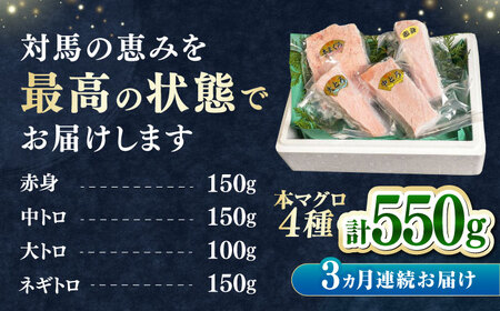 【全3回定期便】対馬産 本マグロ 4種 計550g（赤身/中トロ/大トロ/ネギトロ） 海鮮 まぐろ トロ 刺身 [WAH015]