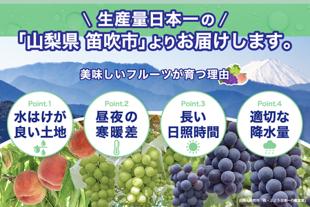 【2026年発送 先行予約】3回定期便 旬のフルーツ定期便（桃1㎏・種無し黒葡萄1房・シャインマスカット1房）180-023-26y