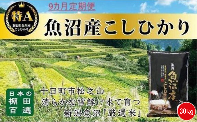 【令和8年産 先行予約】9カ月 定期便 日本棚田百選のお米 天空の里 魚沼産 こしひかり 30kg(5kg×6)×9回 米 お米 コメ