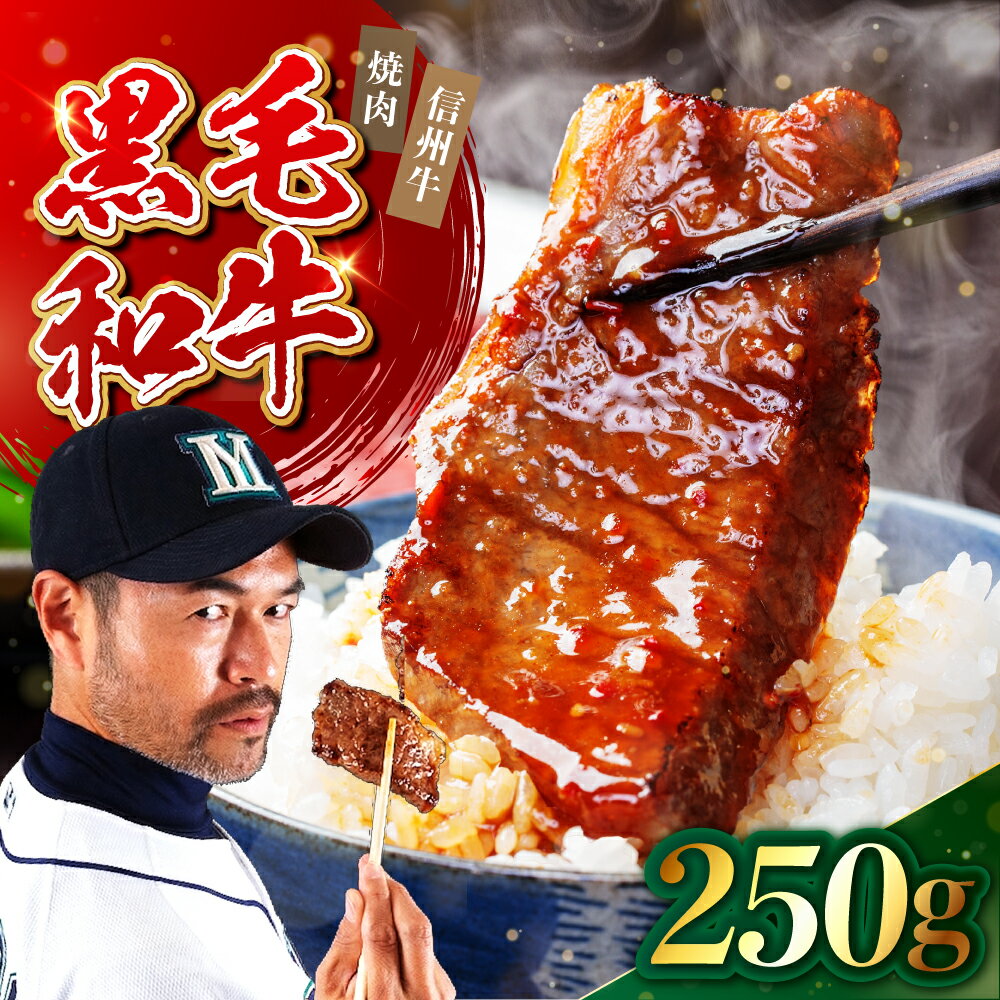【ふるさと納税】 たかどや牧場産 黒毛和牛 信州牛 焼肉 250g | 肉 牛肉 黒毛和牛 信州牛 焼肉 三角バラ 長野県 飯田市 信州