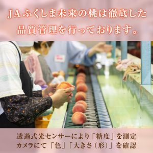 《先行予約》【透過式光センサー選別】 伊達市産桃 川中島特秀 約3kg（9～11玉） F20C-778