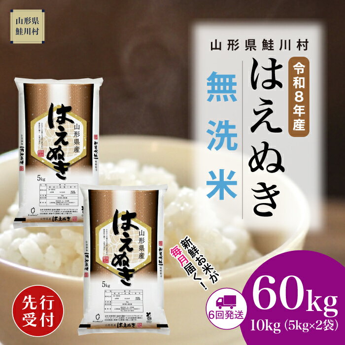 【ふるさと納税】＜令和8年産米先行受付＞ 鮭川村 はえぬき 【無洗米】60kg （10kg×1ヶ月間隔で6回お届け）＜配送時期選べます＞