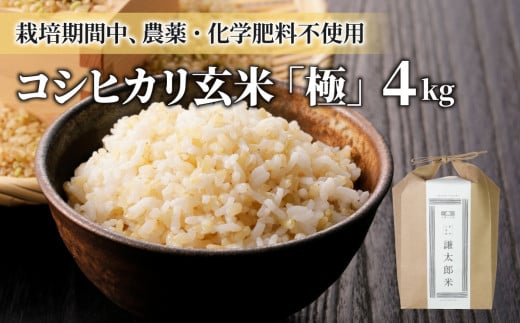 （年内発送※12/25決済完了分まで）【令和7年産】八重原産コシヒカリ玄米「極」（栽培期間中農薬化学肥料不使用）4kg【太陽と大地】※2025年10月中旬以降発送