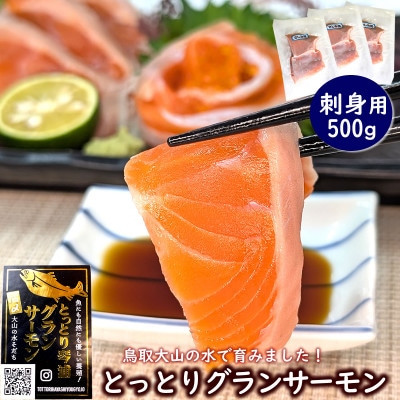 【毎月定期便】山陰の魚屋 山米鮮魚 厳選 国産グランサーモン定期便全4回【配送不可地域：離島】【4088349】