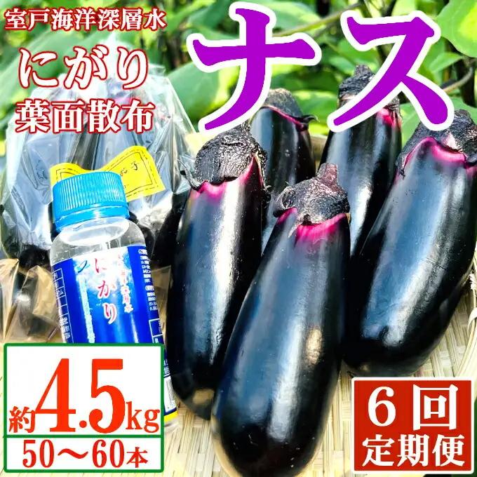 【定期便6回発送】農家直送　土佐の美味茄子の新鮮ナス　４．５kg　（室戸海洋深層水にがり使用） 野菜 なす ナス 常温 小袋 国産 夏野菜 茄子 小分け 旬 90000円 高知 頒布会