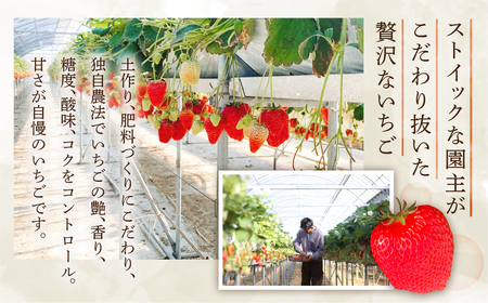 安田農園大人の贅沢いちご 2パック イチゴ 2024年1月～発送開始 いちご 苺 果物 くだもの フルーツ 贅沢品 贈答品 高級品 ブランド お取り寄せ 田原市 産地直送 送料無料 事前予約 安田農園