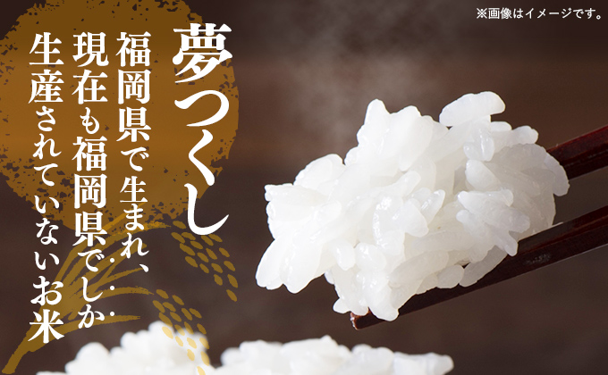 【無洗米】夢つくし 10kg(5kg×2袋)《30日以内に出荷予定(土日祝除く)》 米 こめ コメ 福岡県産米 ゆめつくし 人気 白米 おすすめ もちもち 福岡県 鞍手町