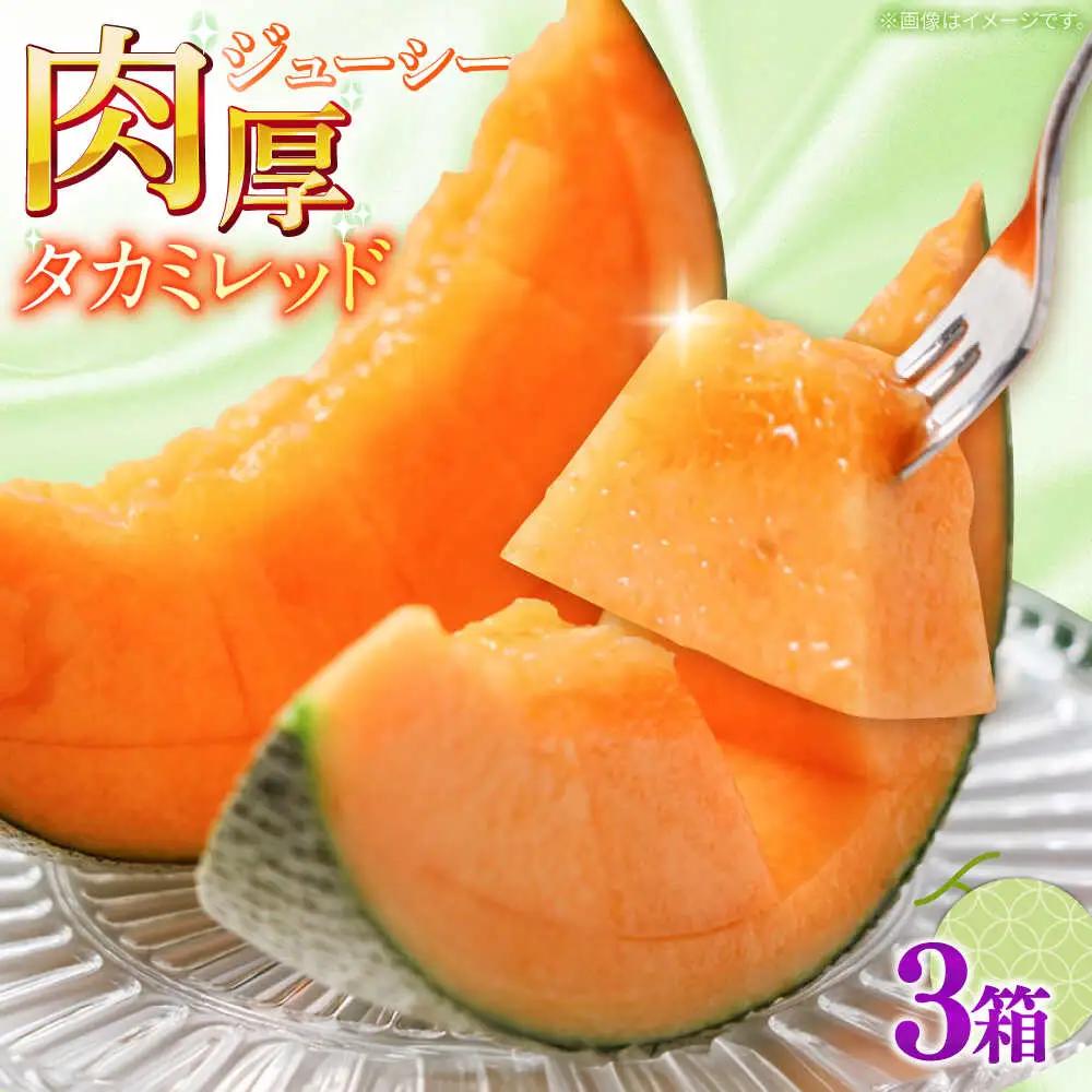 【2027年5月-発送】タカミメロン レッド 3箱（1箱 3?6玉） / メロン めろん フルーツ 果物 / 南島原市 / 南島原果物屋[SCV033]