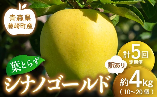【先行予約】≪定期便≫シナノゴールド　訳あり　約4kg(10～20個) 合計5回【グランドアップル】 青森りんご 林檎 リンゴ 訳アリ わけあり ワケアリ ご家庭用 規格外 葉取らずりんご 発祥の地 果物 フルーツ 青森県産 藤崎町 おすすめ F41-0179
