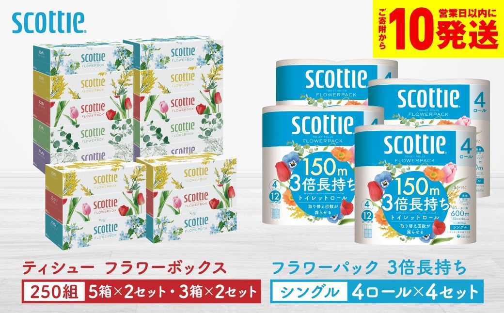 
            【スコッティ】ティシュー フラワーボックス 250組（5箱パック×2セット・3箱パック×2セット）＋フラワーパック 3倍長持ち（4ロール(シングル)パック×4セット）ティッシュ トイレットペーパー 日用品
          