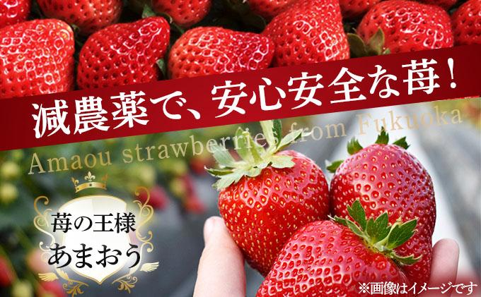 自然環境農法 福岡県産 冷凍あまおう 2kg 2kg