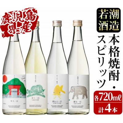 ふるさと納税 志布志市 《一日シリーズ》飲み比べセット 720ml×4本! | 