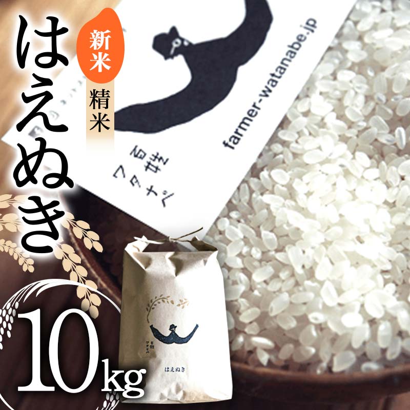 【ふるさと納税】【令和7年産 新米 先行予約】 はえぬき (精米) 10kg 《令和7年10月上旬～発送》 『最上園』 米 白米 ご飯 農家直送 山形県 南陽市 [1978-R7]