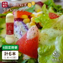 【ふるさと納税】【全6回定期便】糸島そだちの白い玉ねぎ 生ドレッシング（285ml×1本×6回）【農香美人】 [AAG043] 32000円