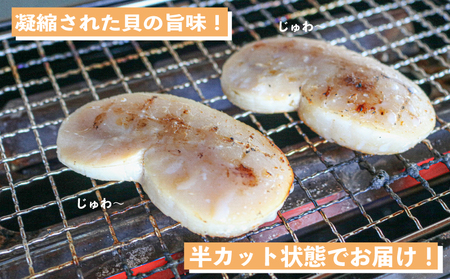 愛知県産平貝(タイラギ)ステーキ貝柱2個入　4パック [配送不可地域：離島]