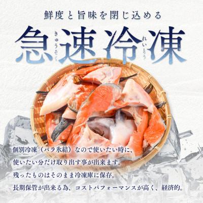 ふるさと納税 若狭町 塩銀鮭カマ【端材、訳あり】3Kg |  | 03