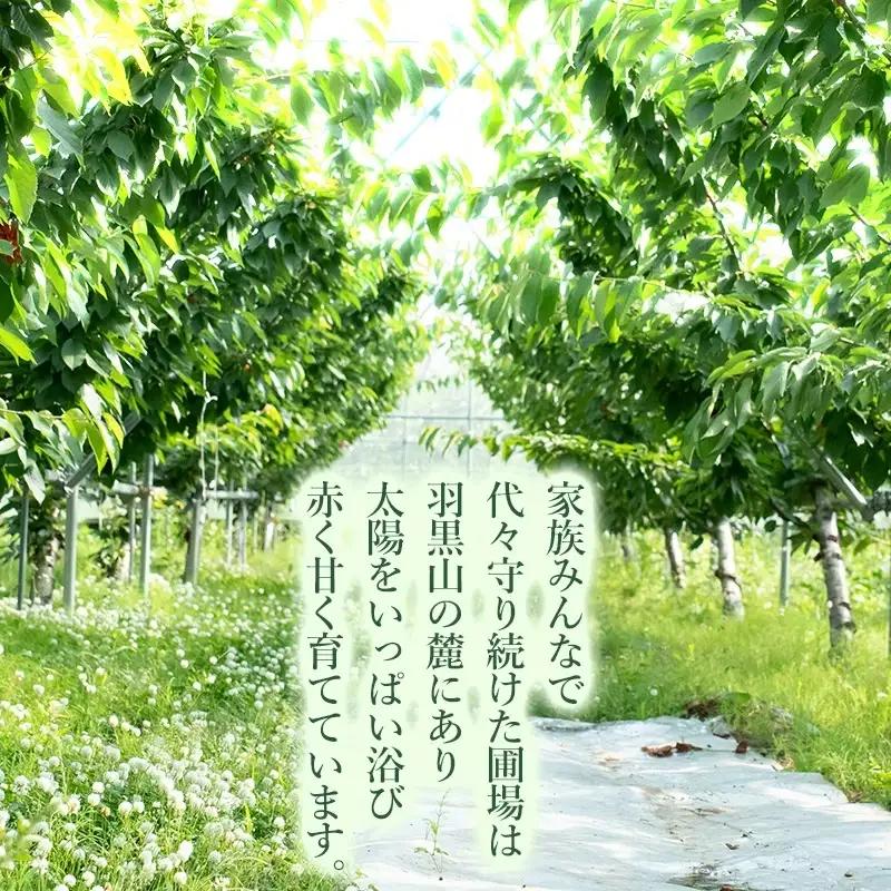【令和9年産】さくらんぼ 紅秀峰 バラ詰め500g（2Lサイズ以上） 榎本菜園 K-939