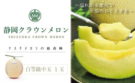 メロン 白中玉 1玉 マスクメロン フルーツ 果物 メロン