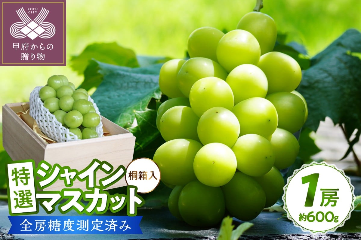 
                  〈2026年度配送分〉【桐箱入り】特選 シャインマスカット1房(約600g) シャインマスカット 先行予約 2026年 山梨県 ブドウ 種なし リピーター多数 数量限定 草生栽培 1房 約600g 桐箱入 糖度測定 2026年8月上旬より順次配送予定
                