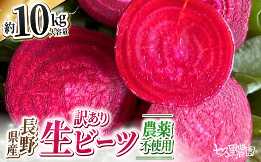 訳あり ビーツ 約10kg | 野菜 ビーツ レッドパワー レッドパワービーツ 定期 長野県 信州 南信州 飯田市