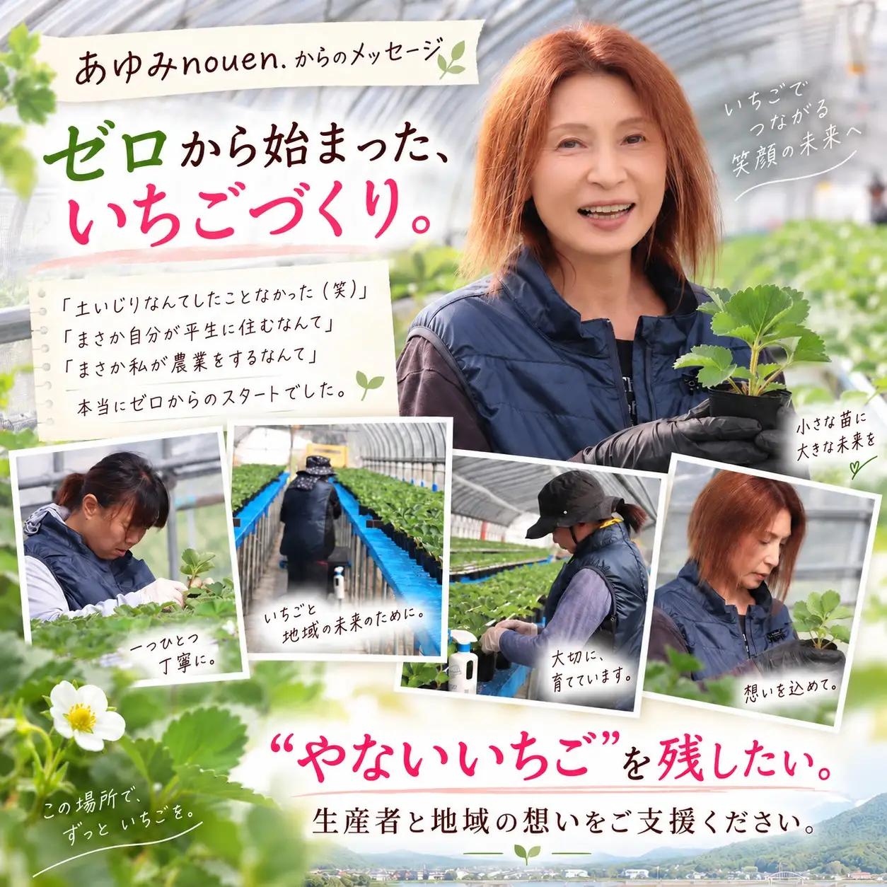 【令和8年度先行予約】【年明け発送】“苺づくりはじめました”紅ほっぺ 約480g【約240g×2パック】