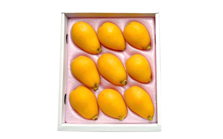 【 高島屋 選定品】【九州屋】【先行予約】 茂木びわ 400g（ 2Lサイズ 9粒入）＜高島屋＞ [CFQ061]  長崎 西海 びわ ビワ 琵琶 茂木びわ Lサイズ 2Lサイズ 高島屋