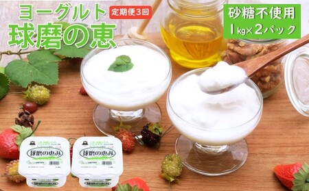 ヨーグルト 球磨の恵ヨーグルト 無糖 砂糖不使用 ヨーグルト【1kg×2パック】【定期便3回】