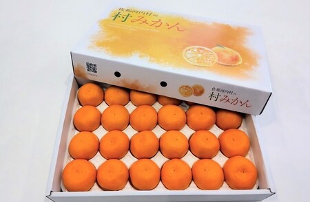 マルチみかん「うまか」《11月中旬-12月末頃に出荷予定(土日祝除く)》【配送不可地域あり】※離島 みかんみかんみかんみかんみかん