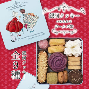 クッキー缶 銀河工場 ガールズ缶 9種焼き菓子 無添加 クッキー缶【9種】