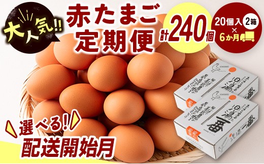 
                  ＜配送開始月が選べる!!＞児湯養鶏自慢の卵 ネッカリッチ赤たまご「児湯一番」 計240個 （20個入×2箱）×6か月定期便 生活応援【D15】
                